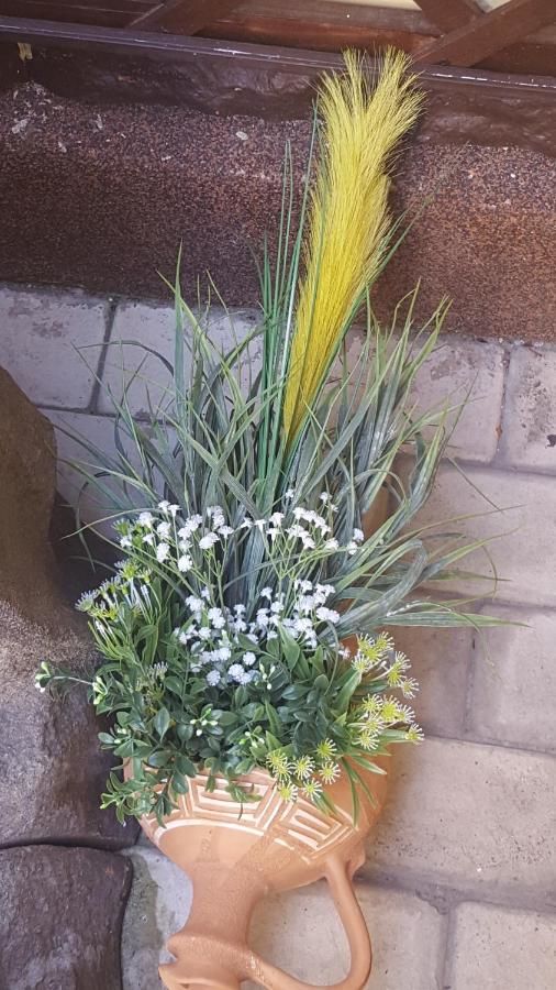 Гостевой дом Vis A Vis Studio Бухарест-10