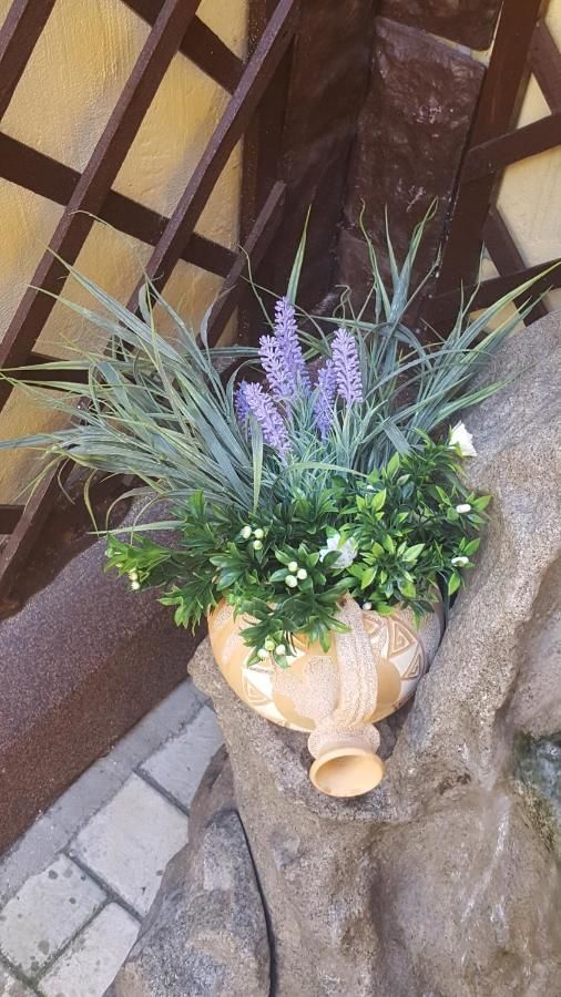 Гостевой дом Vis A Vis Studio Бухарест-11