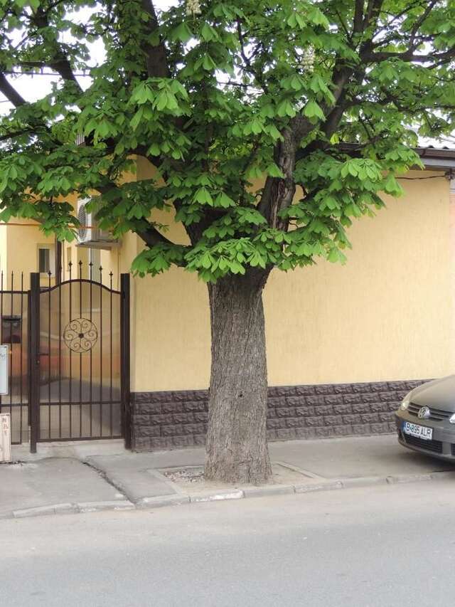 Гостевой дом Vis A Vis Studio Бухарест-28