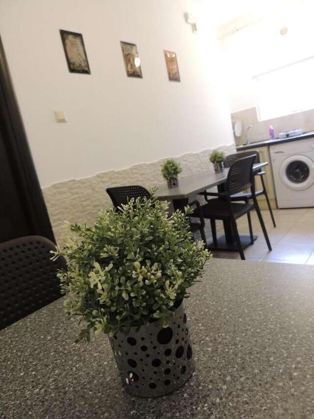 Гостевой дом Vis A Vis Studio Бухарест-35